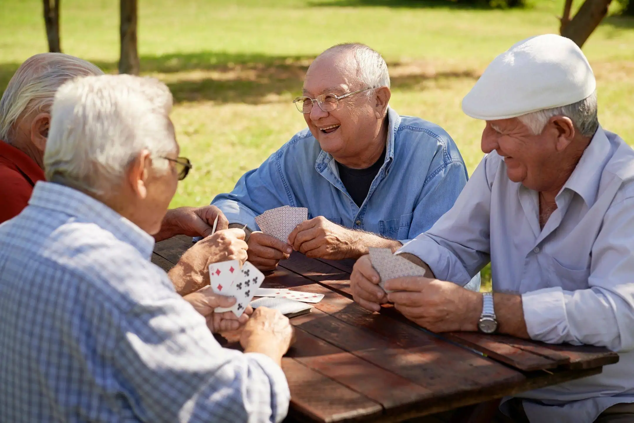 Senior men enjoying an outdoor social outing